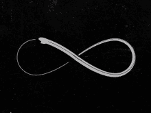 Infinity Logo